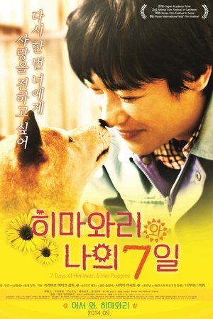 히마와리와 나의 7일