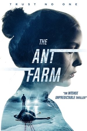 The Ant Farm