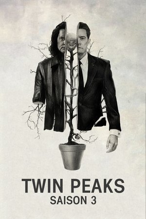 Twin Peaks - The Return (Mystères à Twin Peaks)
