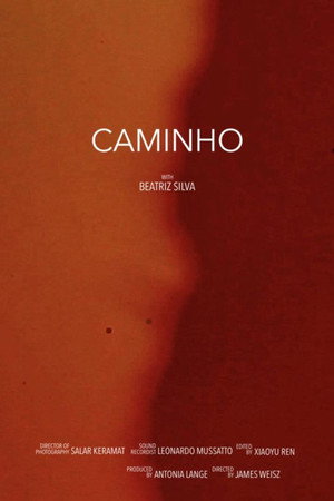 Camhino (The Road) poster