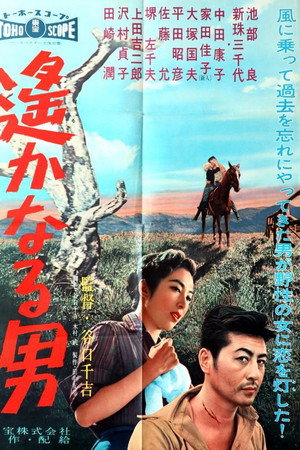 Faraway Man