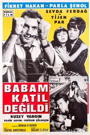 Babam Katil Değildi