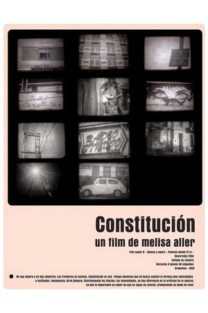 Constitution poster