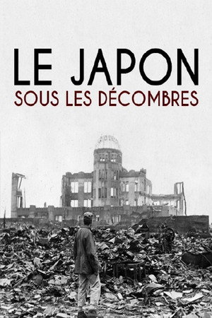 Le Japon sous les décombres poster