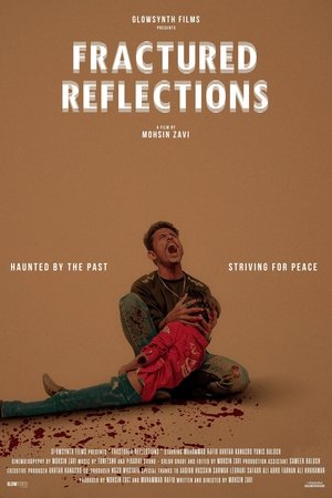 Fractured Reflections