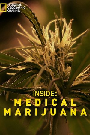 Inside: Medical Marijuana