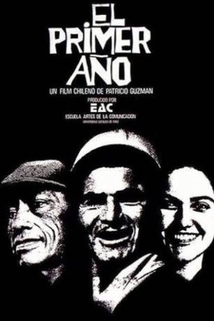 El primer año