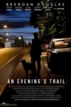 An Evening's Trail