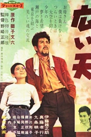 広い天