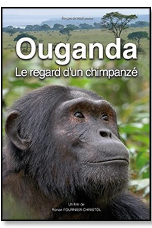 Ouganda, le regard d
