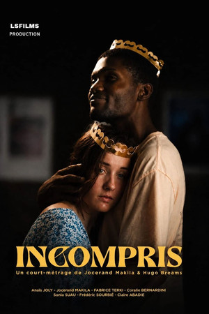Misunderstood poster