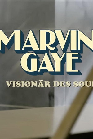 Marvin Gaye - Visionär des Soul