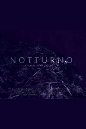 Notturno poster