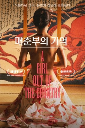 매춘부의 기억