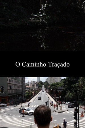 O Caminho Traçado