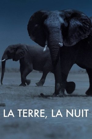 La Terre, La Nuit