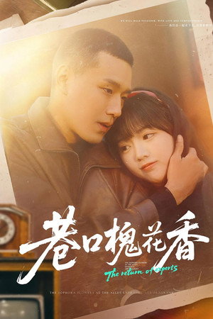 巷口槐花香