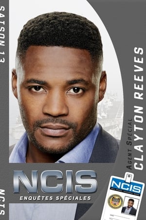 NCIS : Enquêtes spéciales