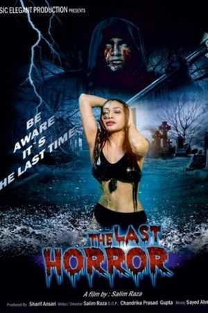 The Last Horror poster