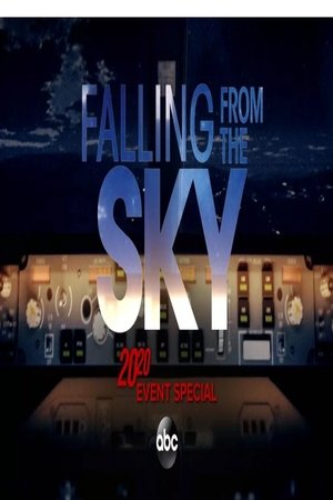 Poster of 20/20 Falling From The Sky