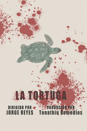 La Tortuga La Tortuga