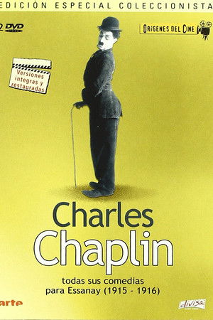 The Chaplin Essanay Project