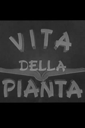 Vita della pianta poster