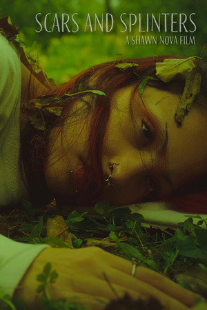 Scars and Splinters poster