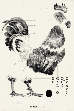 De Gallo Qui Ovavit poster