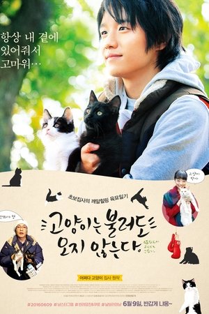 고양이는 불러도 오지 않는다