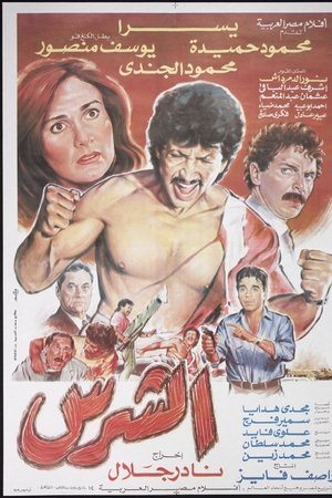 الشرس