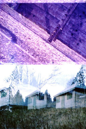 HEIDEGGER IN AUSCHWITZ poster
