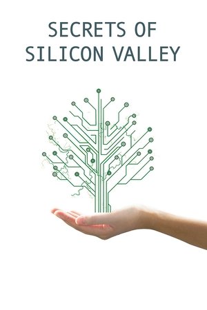 Secrets of Silicon Valley