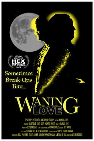 Waning Love poster