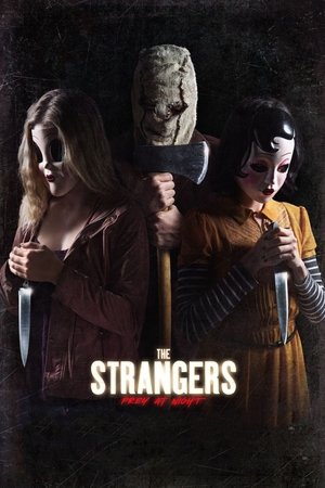 Nepažįstamieji: nakties grobis / The Strangers: Prey at Night (2018)