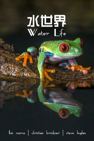 Water Life A World of Water