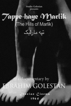 Tappe-haye Marlik