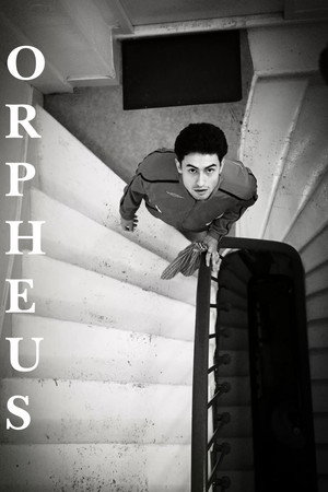 Orpheus