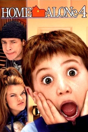 home alone 4 kevin home alone 4 kevin