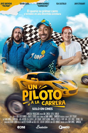 A Pilot on the Run poster