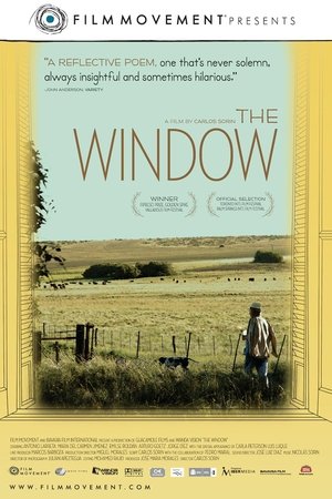 Poster of The Window