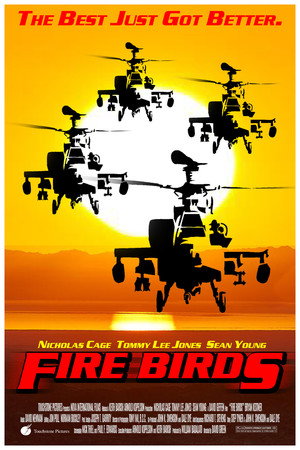 Fire Birds poster
