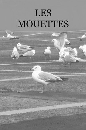 Les Mouettes poster