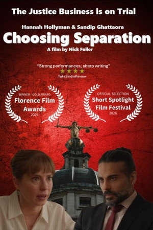 Choosing Separation poster