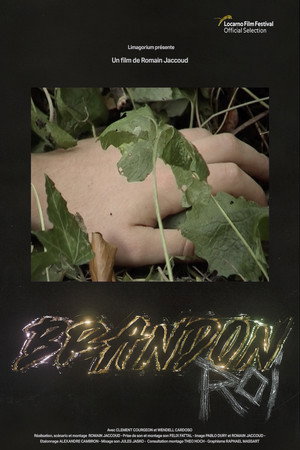 Brandon Roi poster