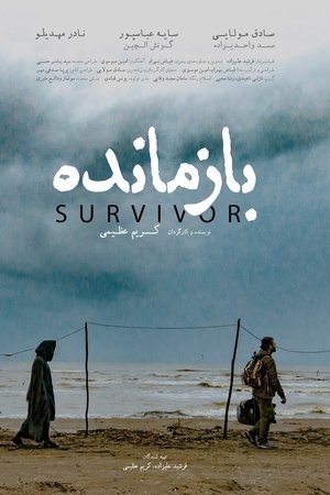 Poster of Survivor