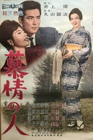慕情の人