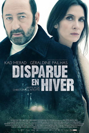 Poster of Disappeared in Winter