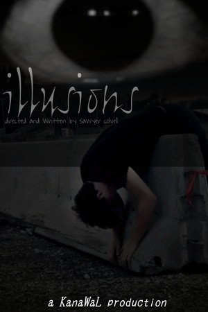 illusions poster