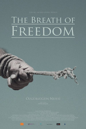 The Breath Of Freedom poster